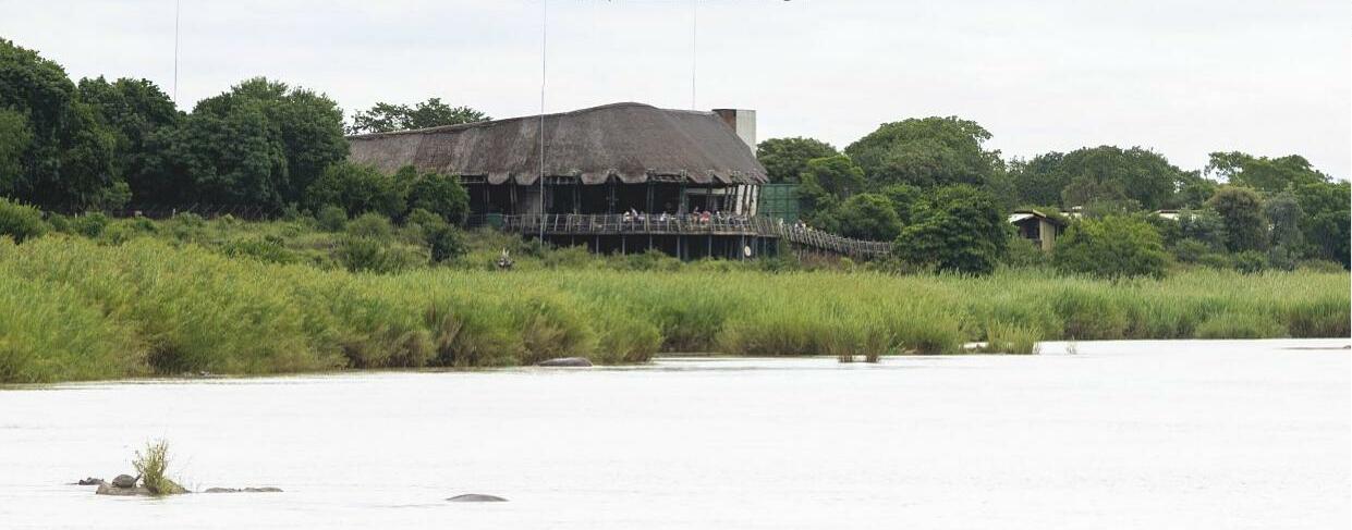 Kruger's southern superstar