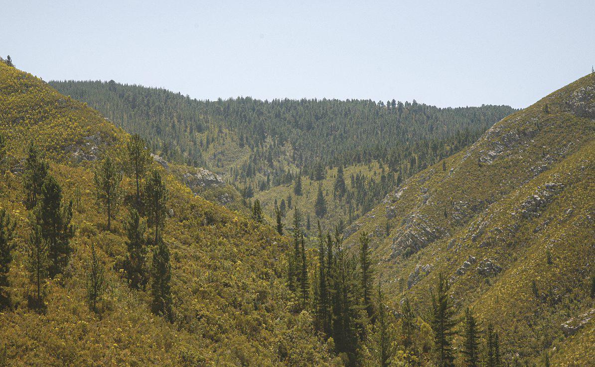 The crown prince of mountain passes