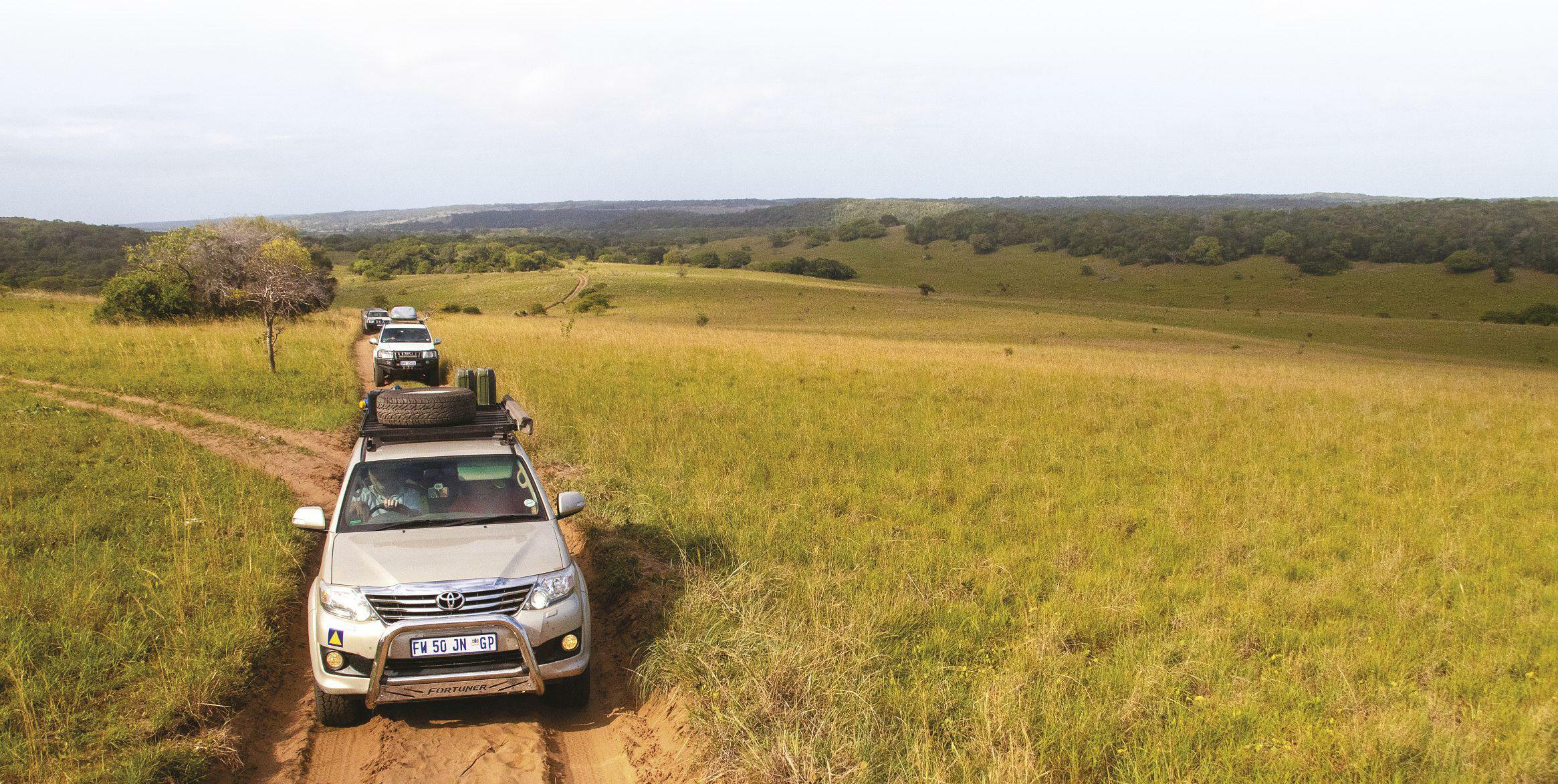 Where safari meets shoreline