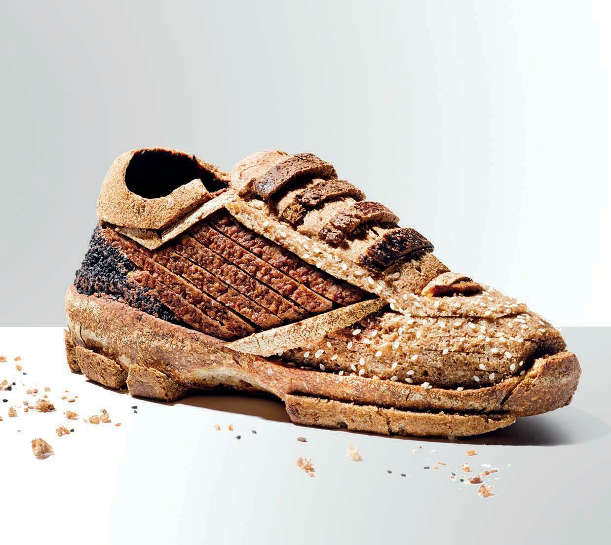 Power Of The Carbohydrate