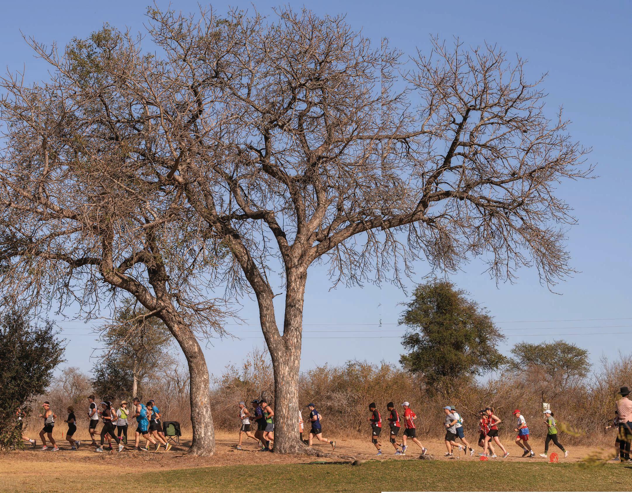 SKUKUZA CASTLE LAGER HALF MARATHON