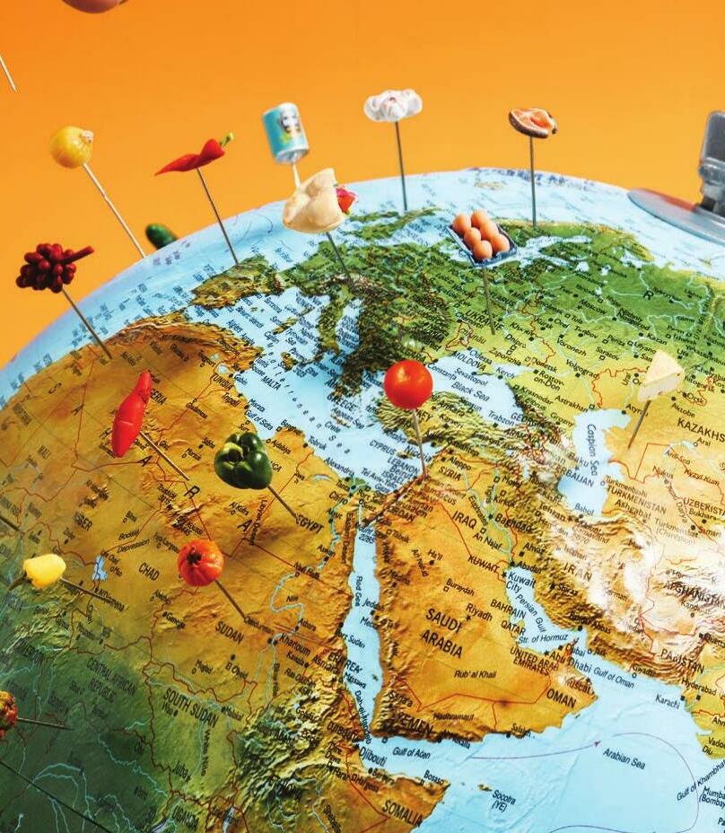 THE WHOLE PLANET DIET