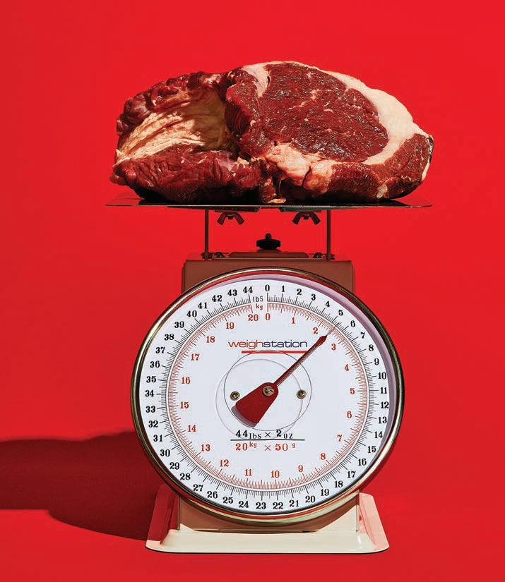 The Protein Primer