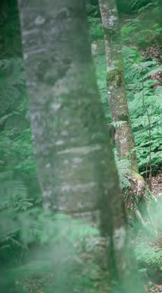 Best Races To Run In 2026