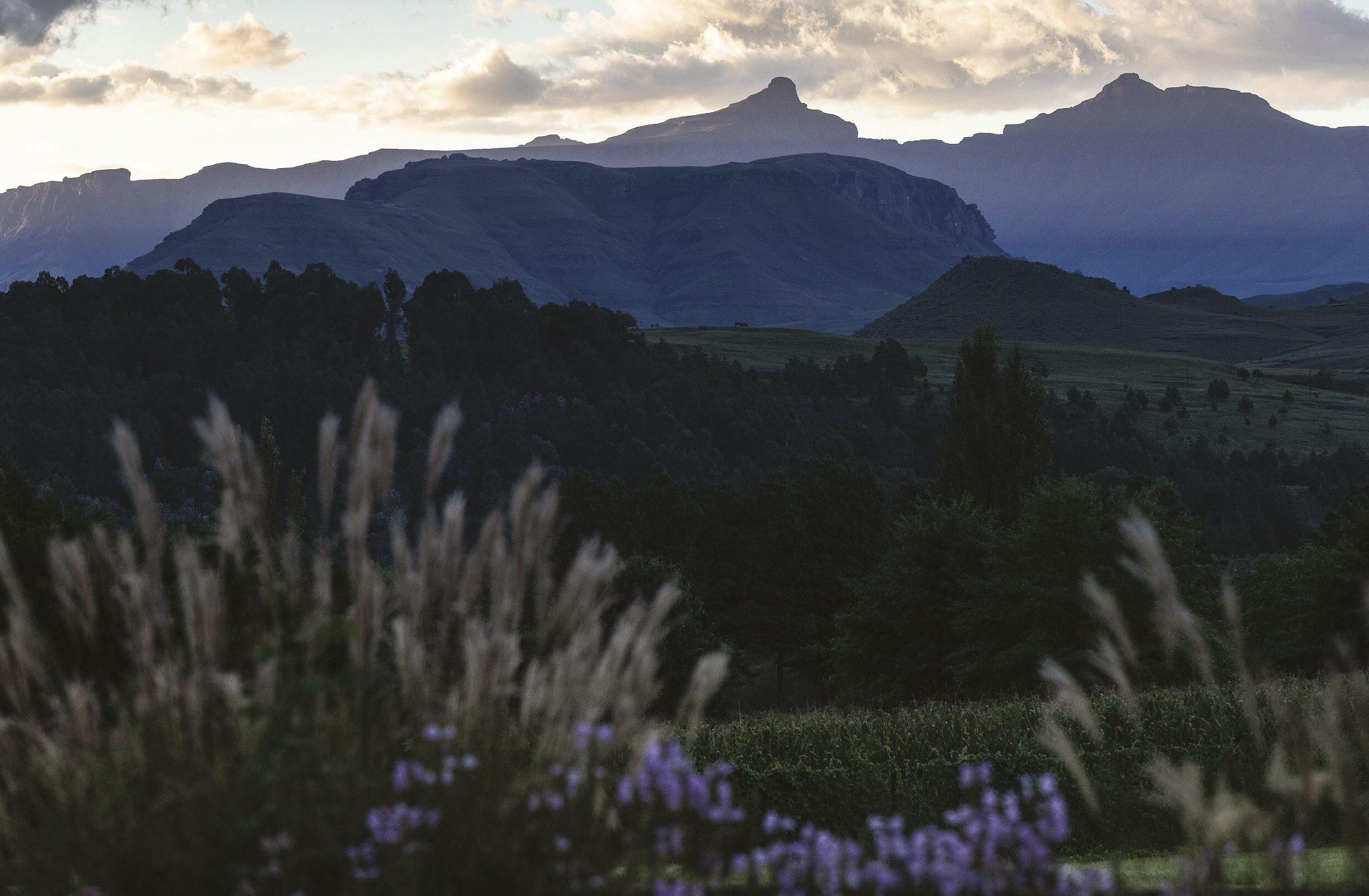 Under the mighty Berg