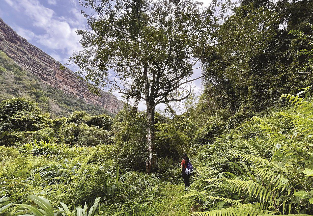 TAKE A HIKE