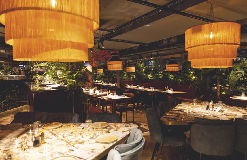 Tüm duyularınız harekete geçecek