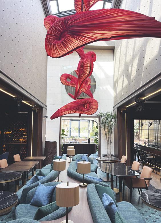 Şehrin en yeni Asyalısı