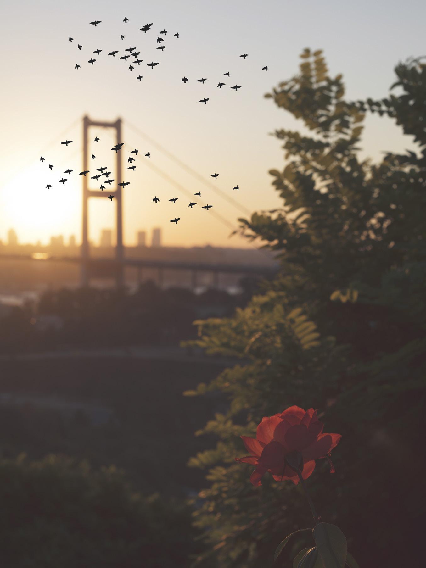 Şehre sonbahar geldi