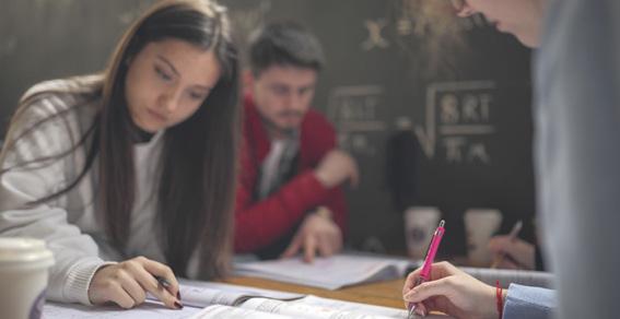 Özel sektör meslek eğitiminde kolları sıvadı