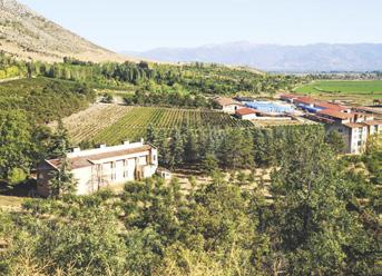 “Öncelikli hedefimiz ABD pazarında büyümek”