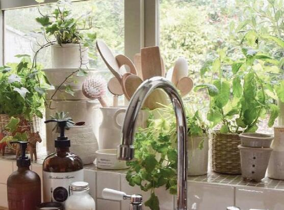 Yep, you need to START A GARDEN