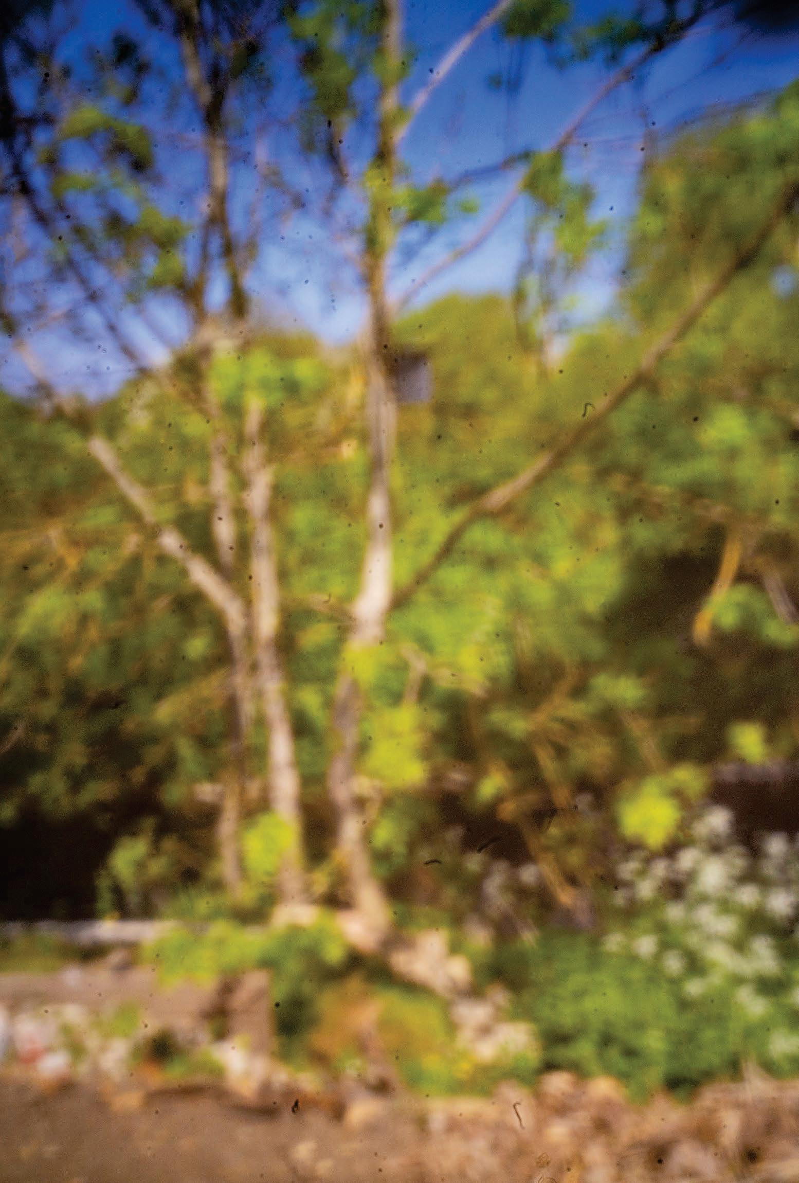 A pinhole pursuit