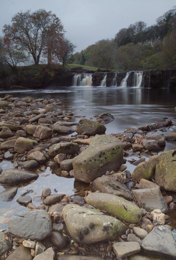 Add some colour in DxO PhotoLab 8