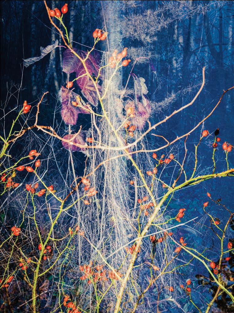 The art of seeing