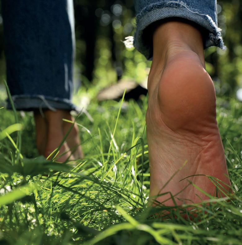 Hidroterapia ¿Pies fríos? ¡nunca más!