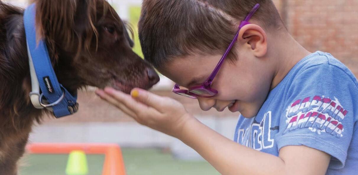 Perros que sanan: el poder de la terapia asistida en pacientes con cáncer