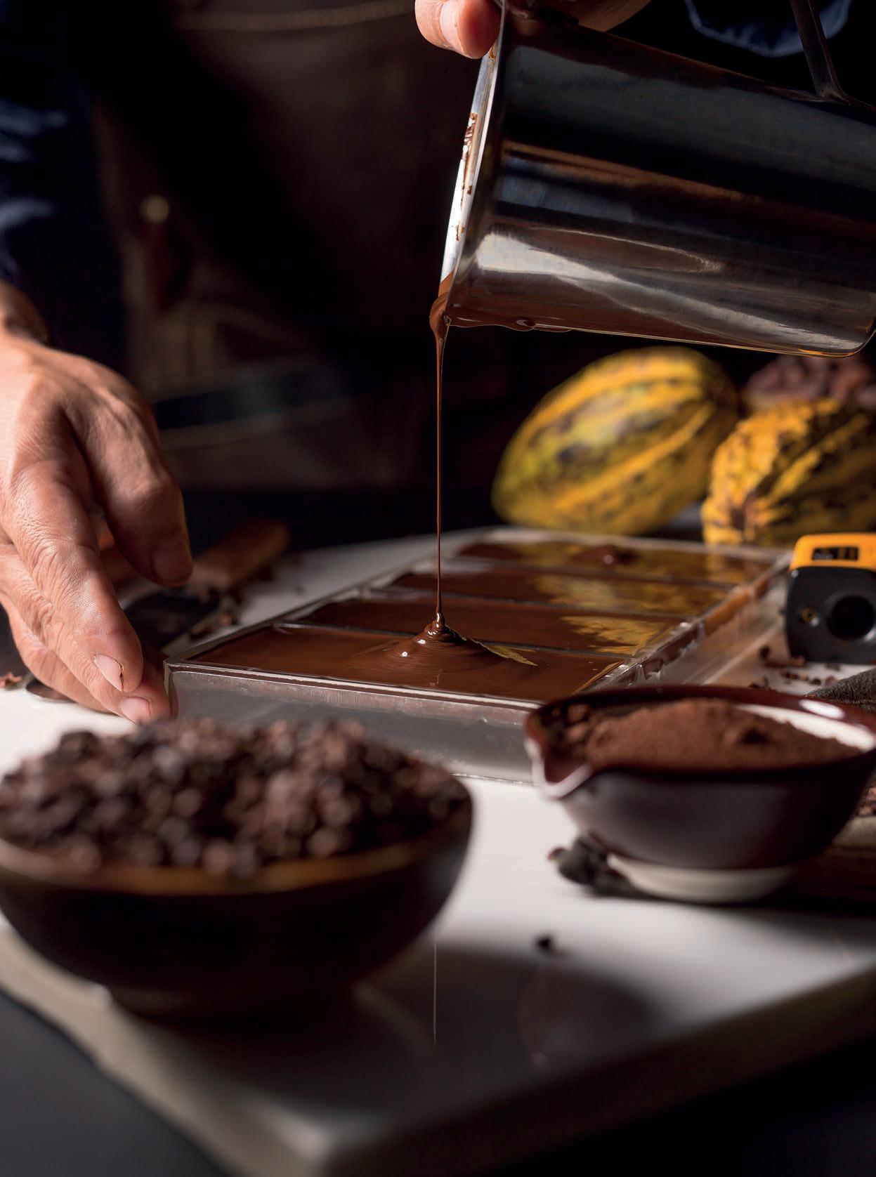 Santiago Peralta, fundador de Paccari Cacao y chocolate ecológicos