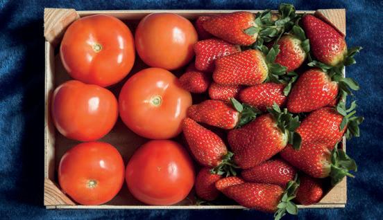 Fresas y tomates: la cara oculta de los invernaderos