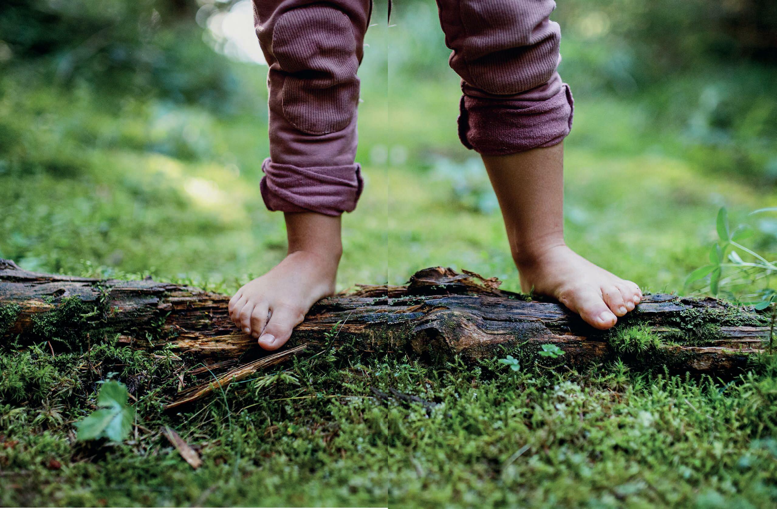 Shinrin-Yoku Cómo los baños de bosque potencian nuestro sistema inmunitario