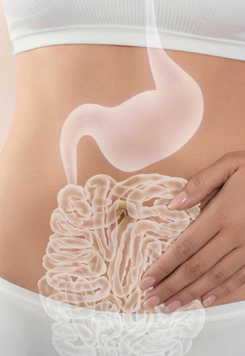 La importancia de la microbiota intestinal en el cáncer de mama