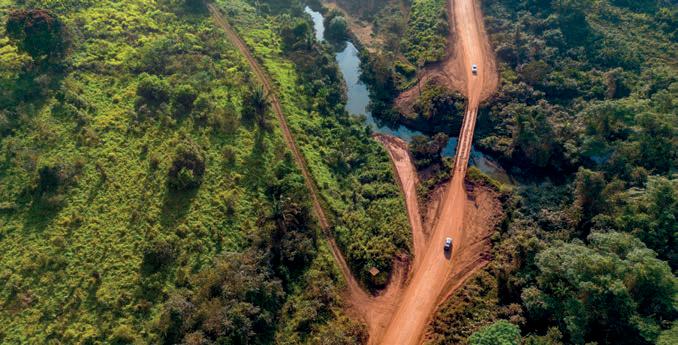 LA IRONÍA DE LA COP30: Destruir la Amazonia para salvar el clima