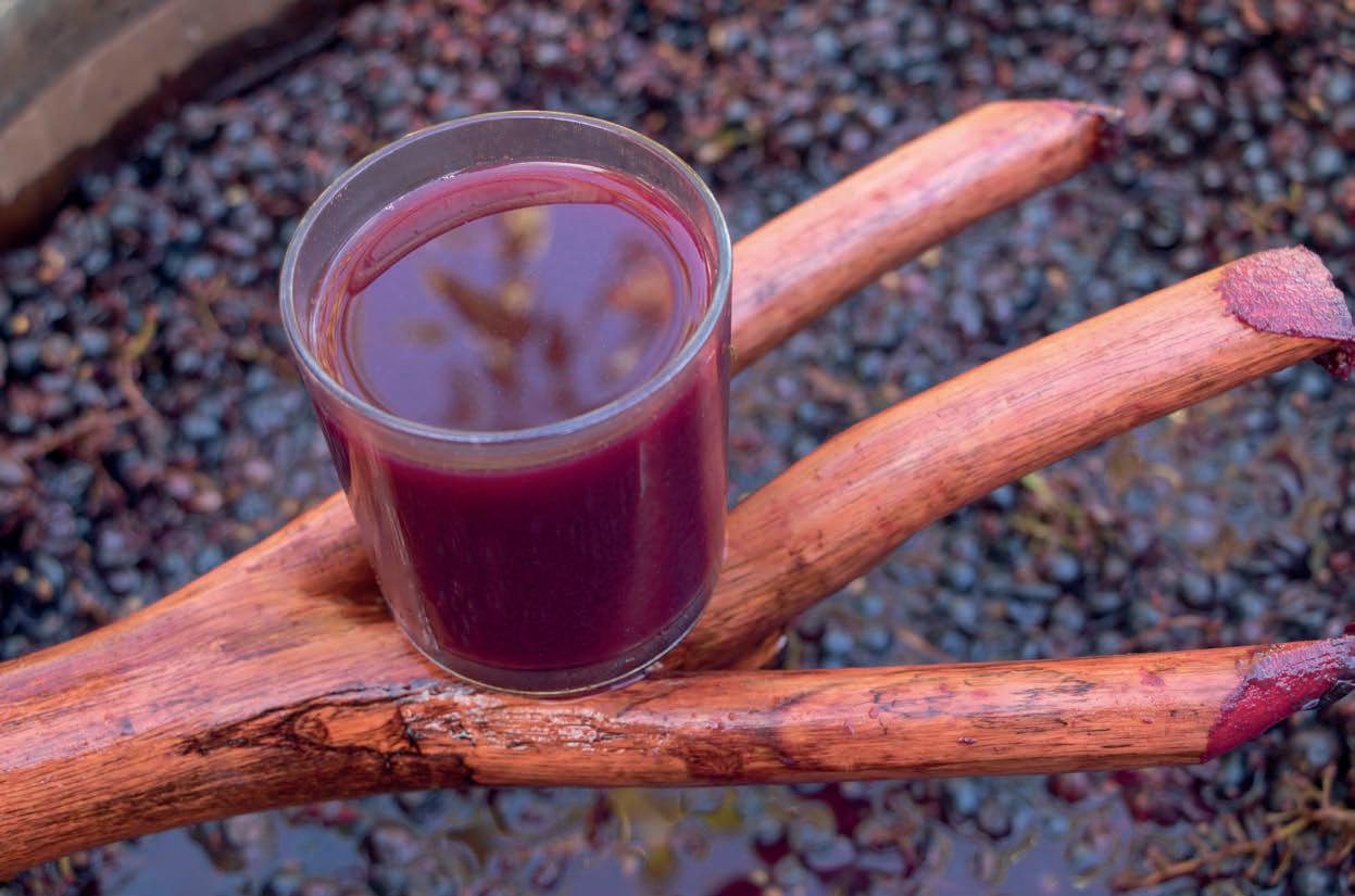 Alcohol y cáncer La ciencia derriba el mito del consumo moderado