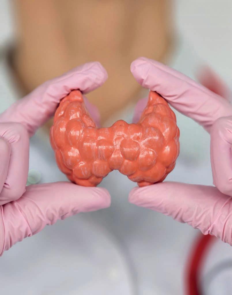 Hipotiroidismo: una mirada complementaria desde la Medicina Tradicional China y la acupuntura