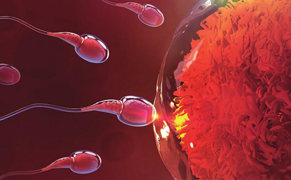 Reproducción asistida con donación de gametos: el impacto emocional de tomar decisiones apresuradas