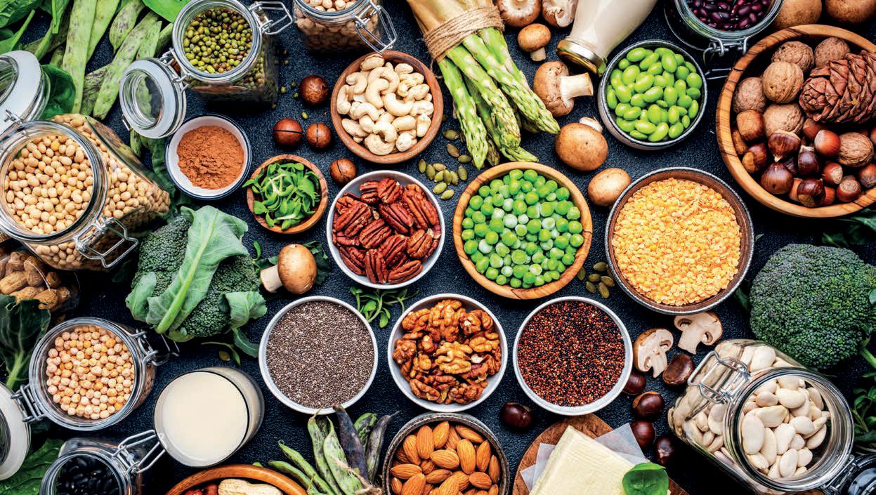 ¿Proteína animal o proteína vegetal? Lo que dice la ciencia sobre longevidad
