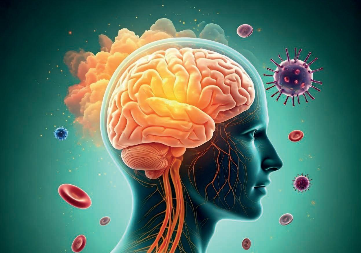 PNIE, una ciencia para conectarlo todo