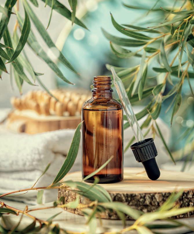 ¿Qué son los terpenos? Una farmacia natural en cada aroma