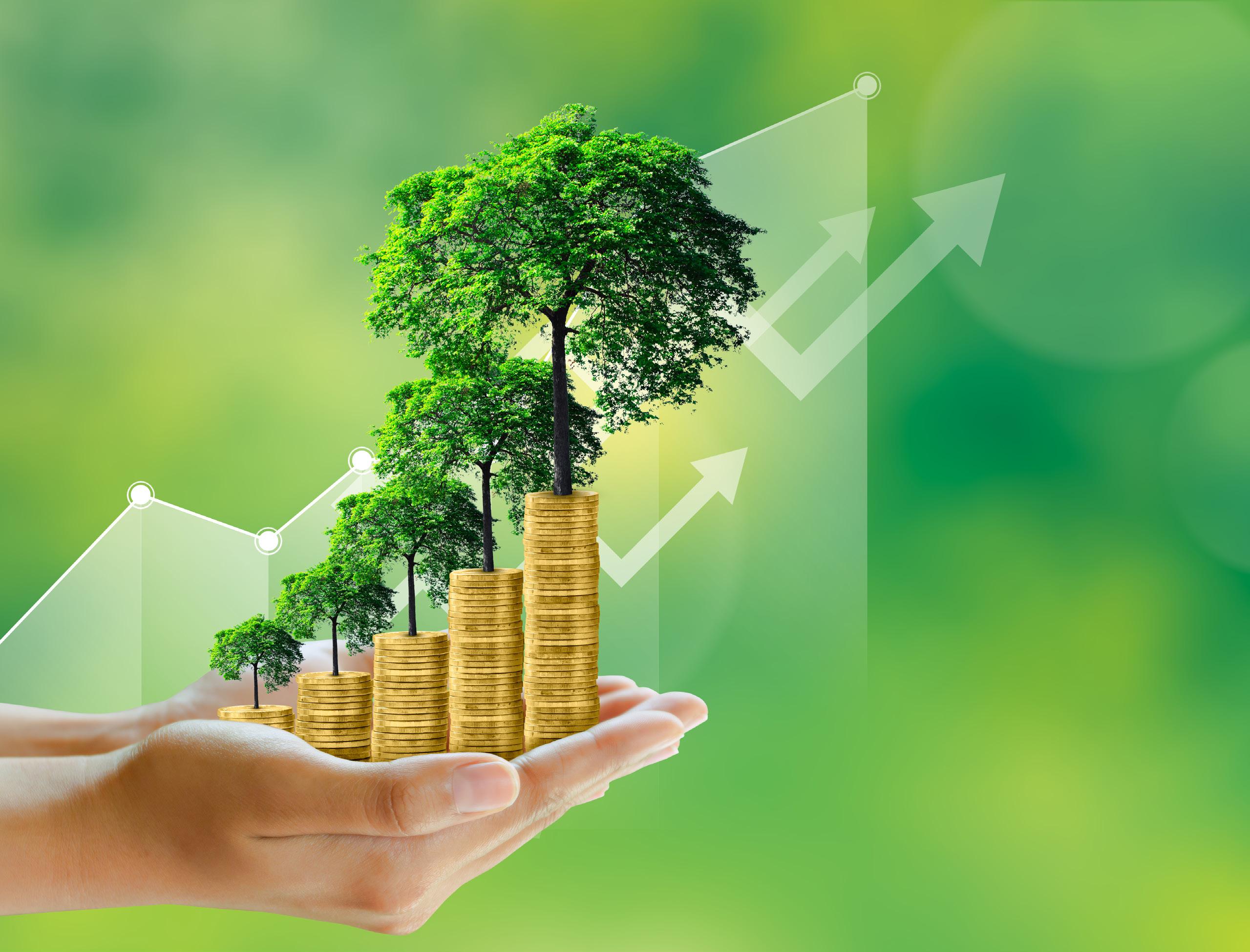 Top 5 investment questions young investors struggle with