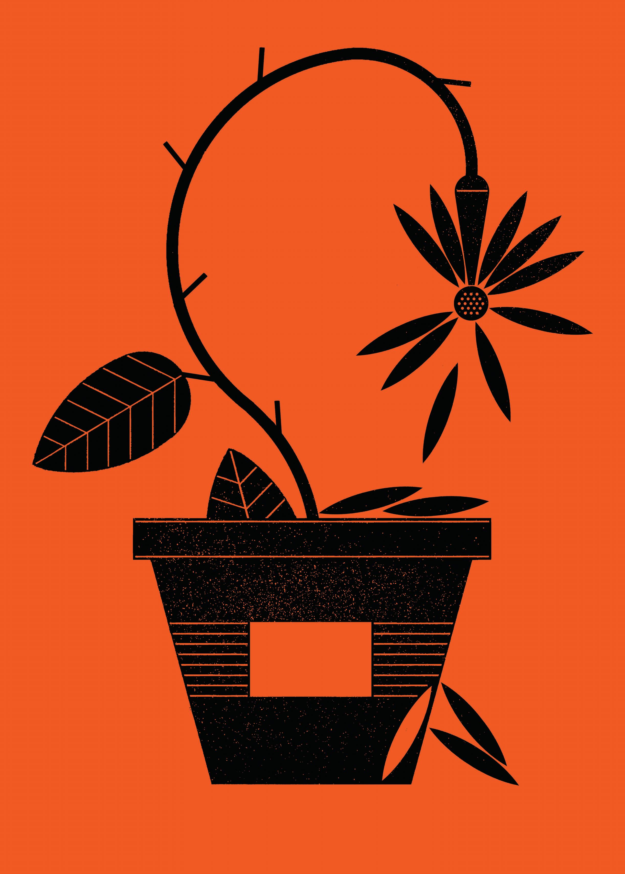 How 'Business for Good' Went Bad