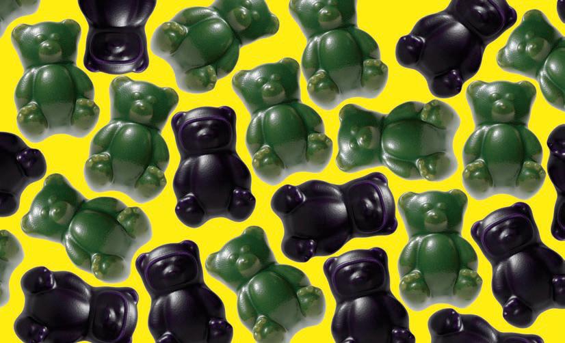 IT'S A BEAR MARKET