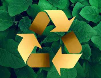 CIBJO Proposes Clearer Definition for Recycled Gold in Jewellery and Watch Sectors