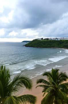 10 Mesmerising Monsoon Destinations in India You Must Explore