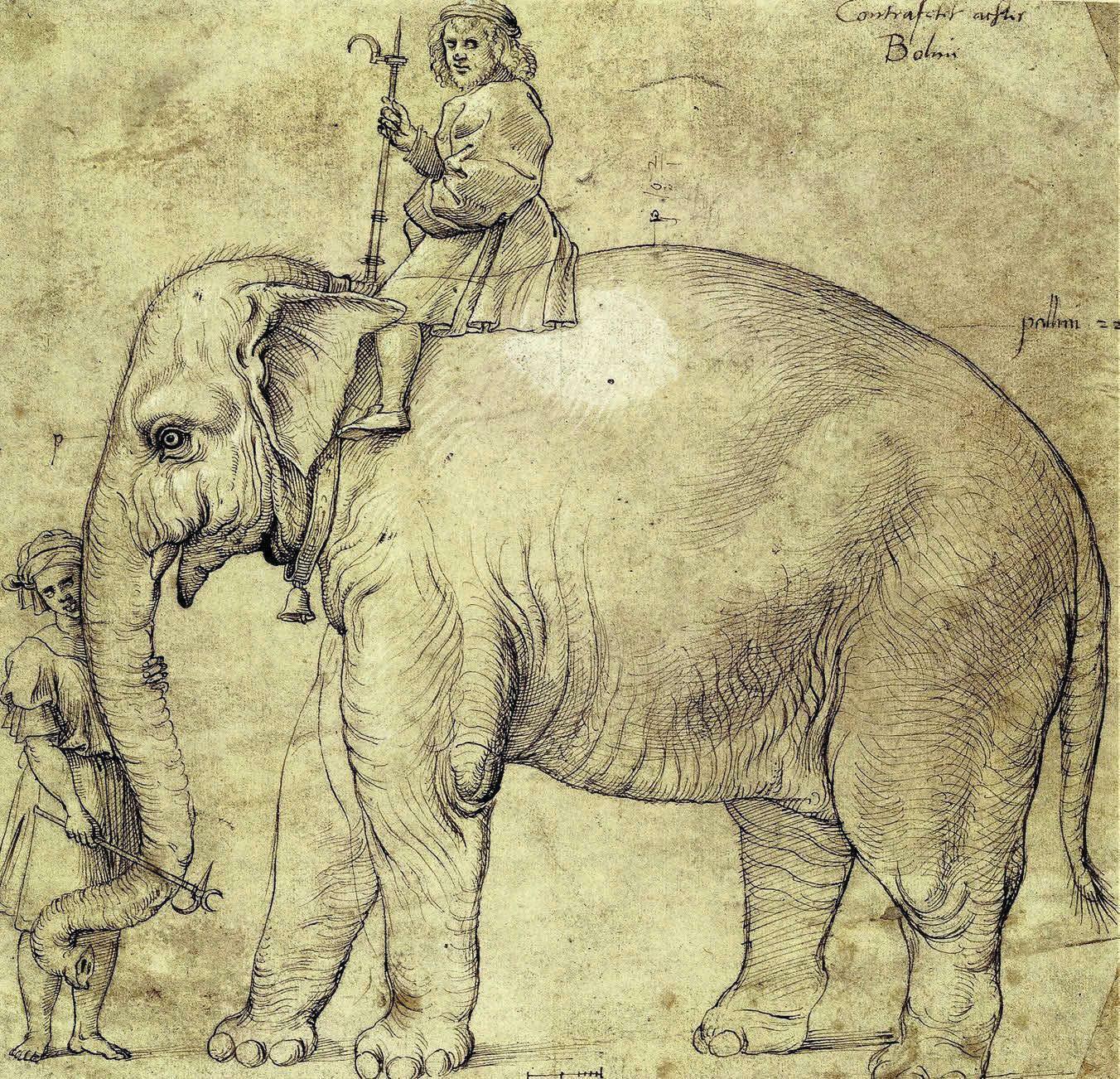 THE PONTIFF'S INDIAN PET