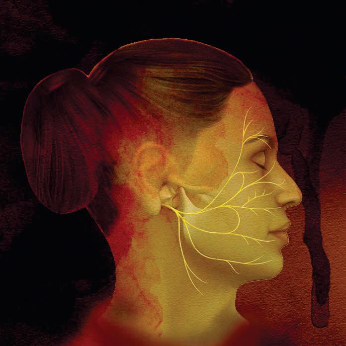 The seventh nerve