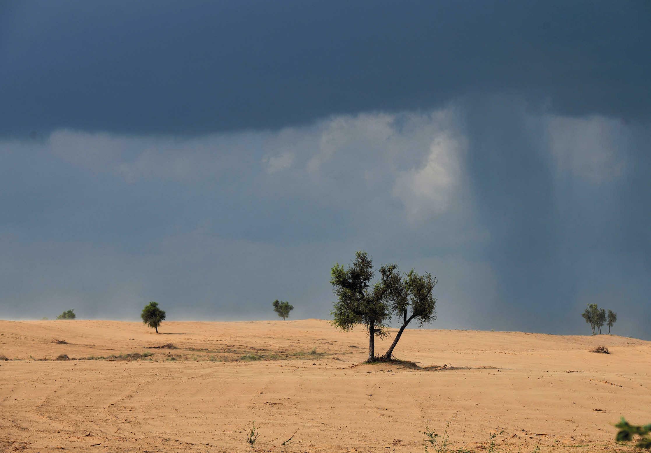 Greening of the Thar is both a success story and a warning