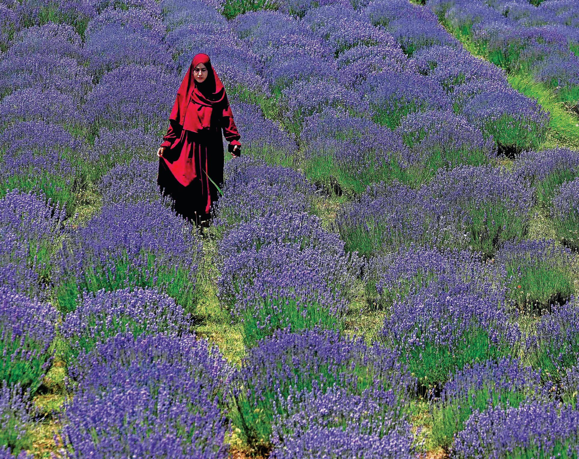 Flower power