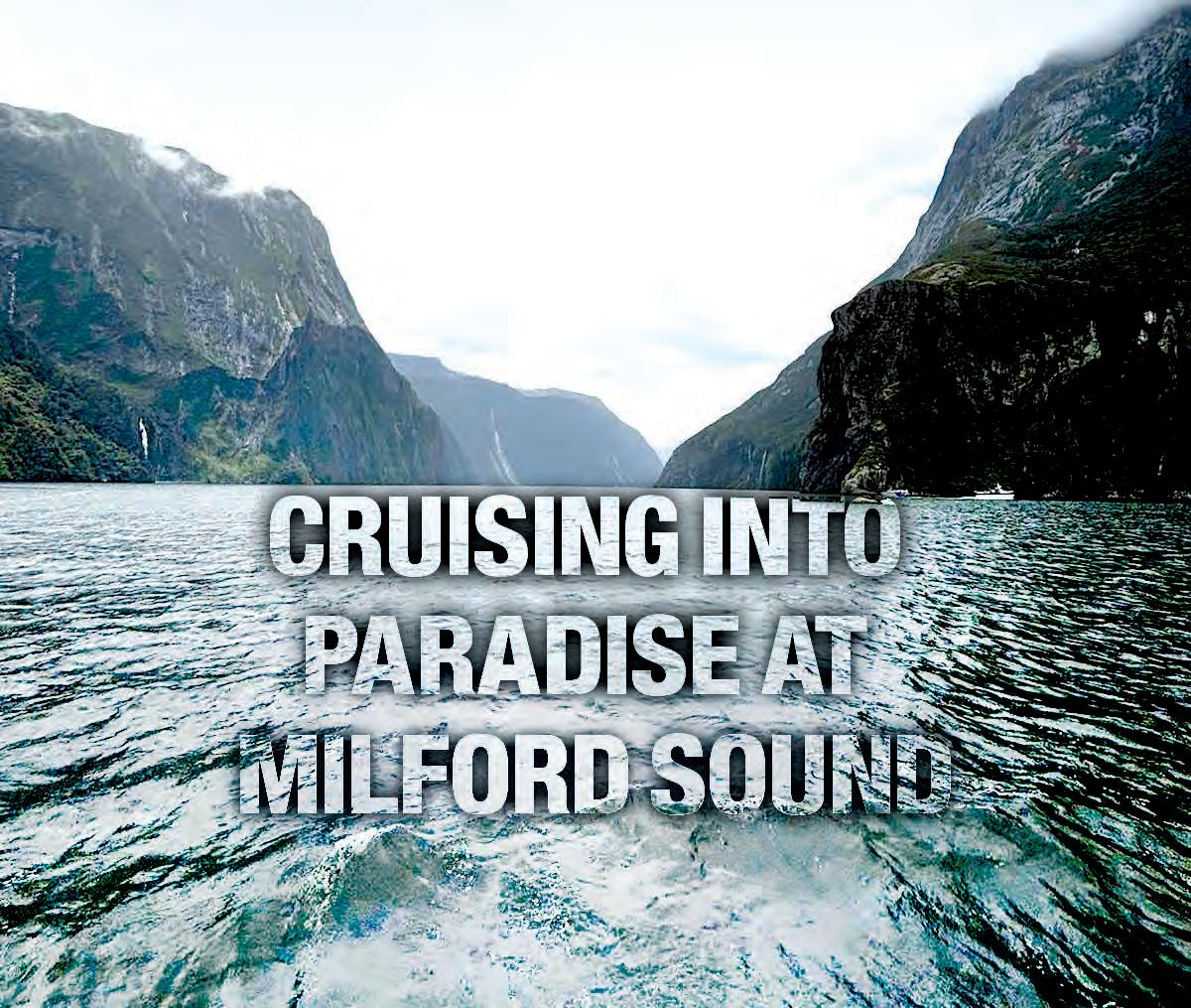 CRUISING INTO PARADISE AT MILFORD SOUND