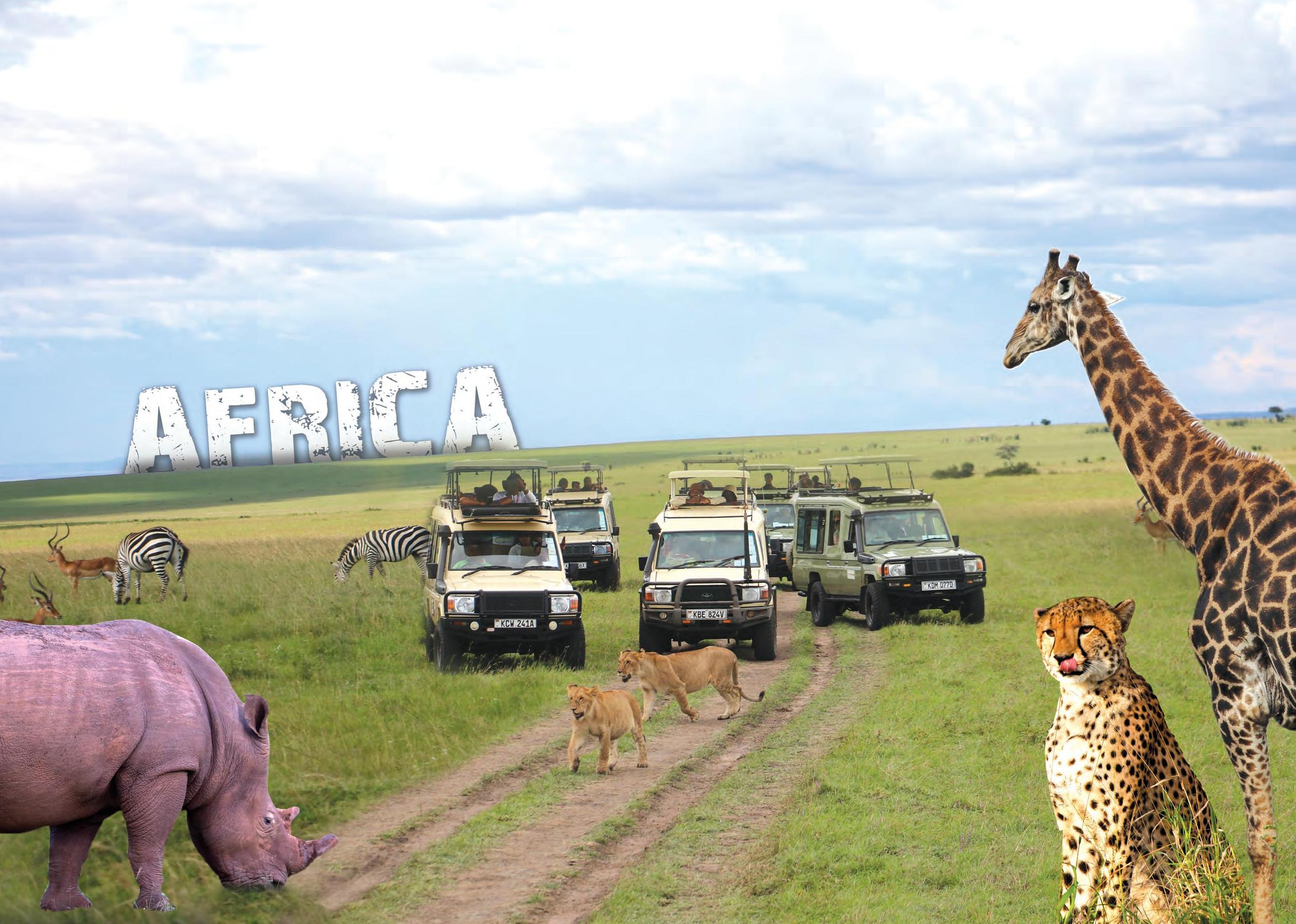 INDIAN TOURISTS REDISCOVER DESTINATION AFRICA