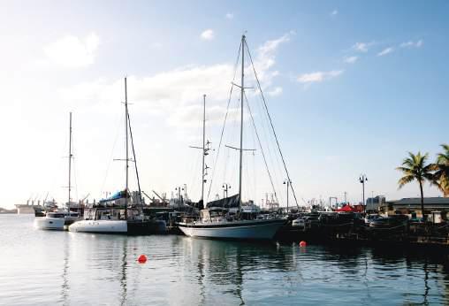 Indian tourism to Mauritius has risen by 45 pc