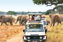 AFRICA roars back on global tourism market in 2025