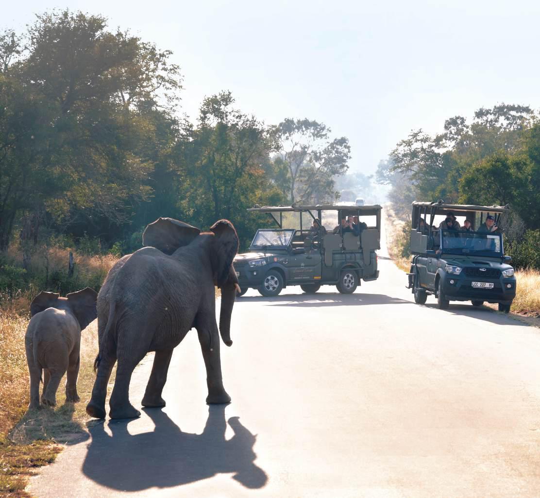 From sightseeing to soulful experiences, Indians redfine outbound travel goals