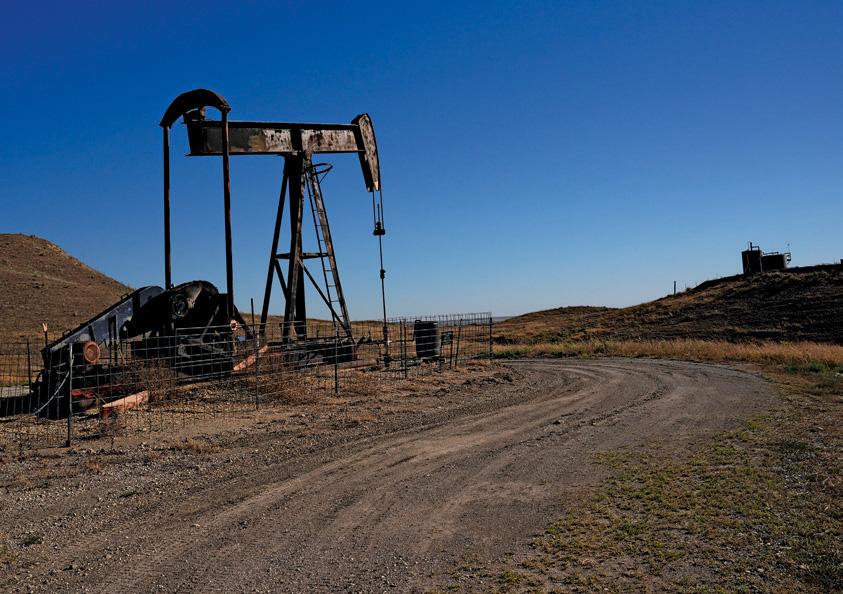 TRUMP'S LICENSE TO DRILL