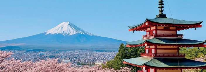 Yamanashi's Vision for the Future