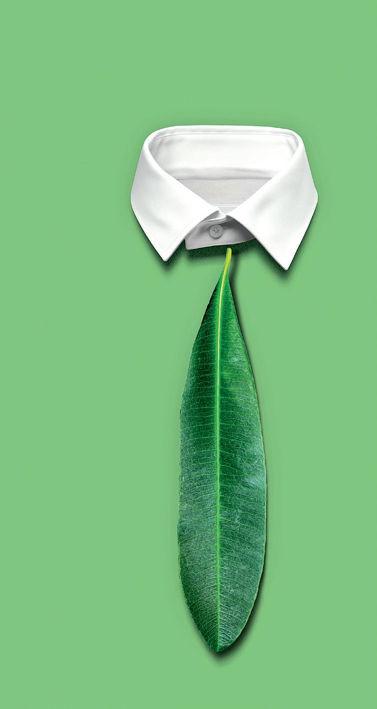 World's Greenest Companies 2026