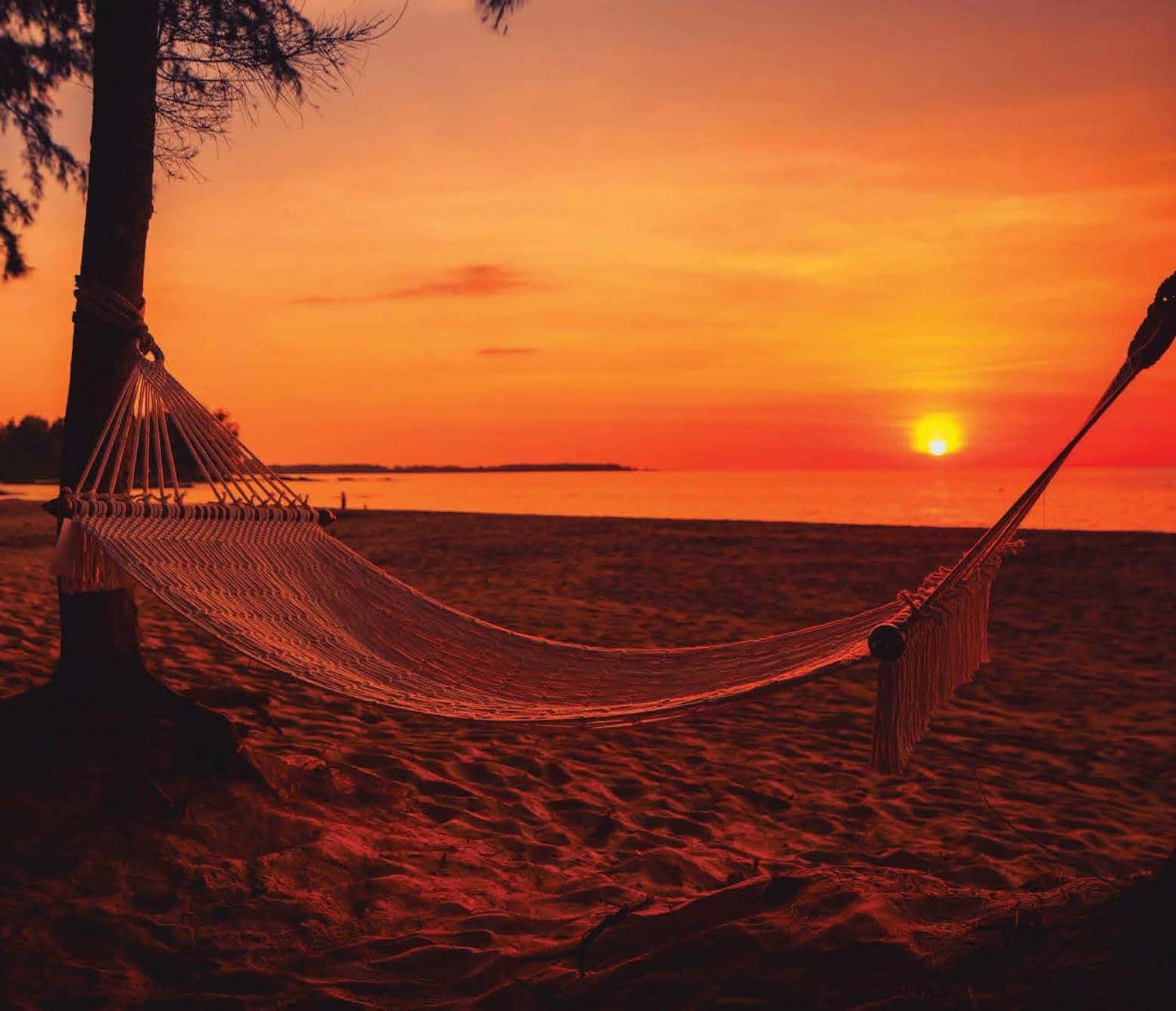SUNSHINE, SHORE AND SERENDIPITY